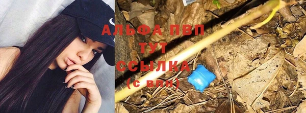 каннабис Беломорск
