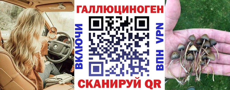 МЕГА онион  Новороссийск  Галлюциногенные грибы прущие грибы 